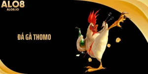 Đá Gà Thomo ALO8 - Nhịp Đấu Thực Chiến Đang Thu Hút Kê Thủ