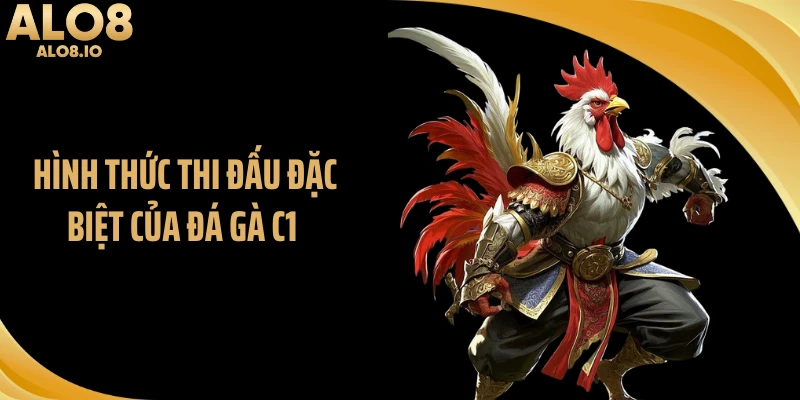 Hình thức thi đấu đặc biệt của đá gà C1