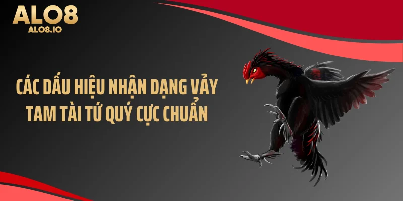 Các dấu hiệu nhận dạng vảy tam tài tứ quý cực chuẩn