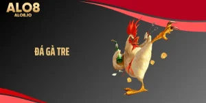 Đá gà tre tại Alo8