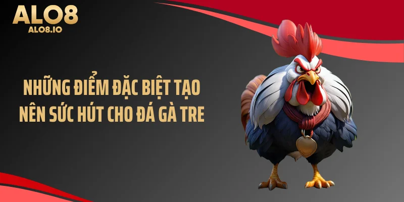 Những điểm đặc biệt tạo nên sức hút cho đá gà tre