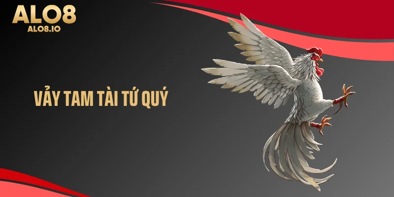 Cùng O8 tìm hiểu về vảy tam tài tứ quý